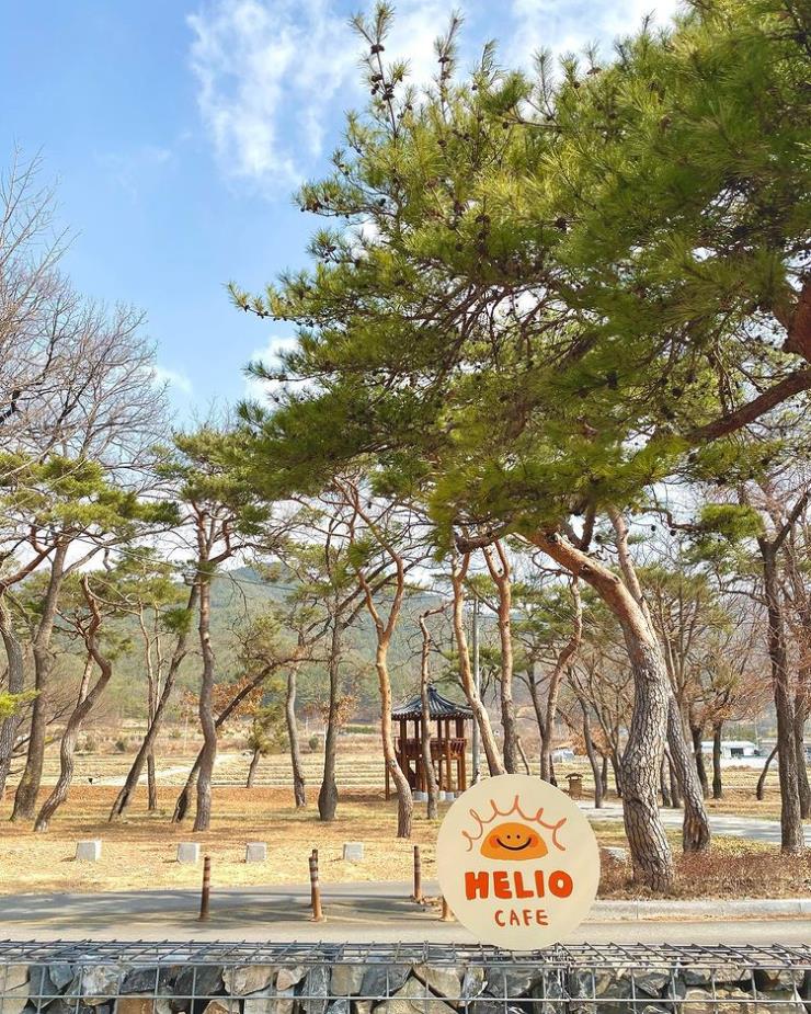 헬리오