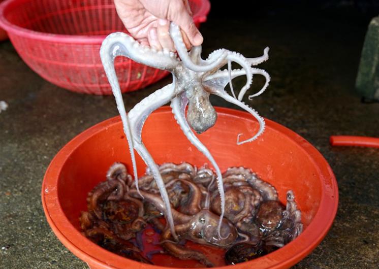 왕산포횟집