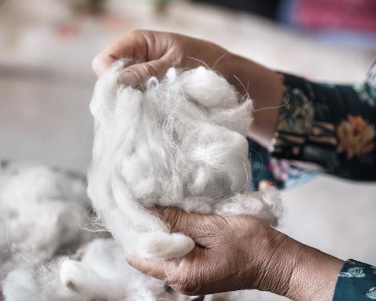 로로 피아나 제공(Giulio di Sturco)