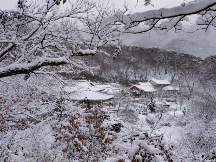 서산시 공식 블로그
