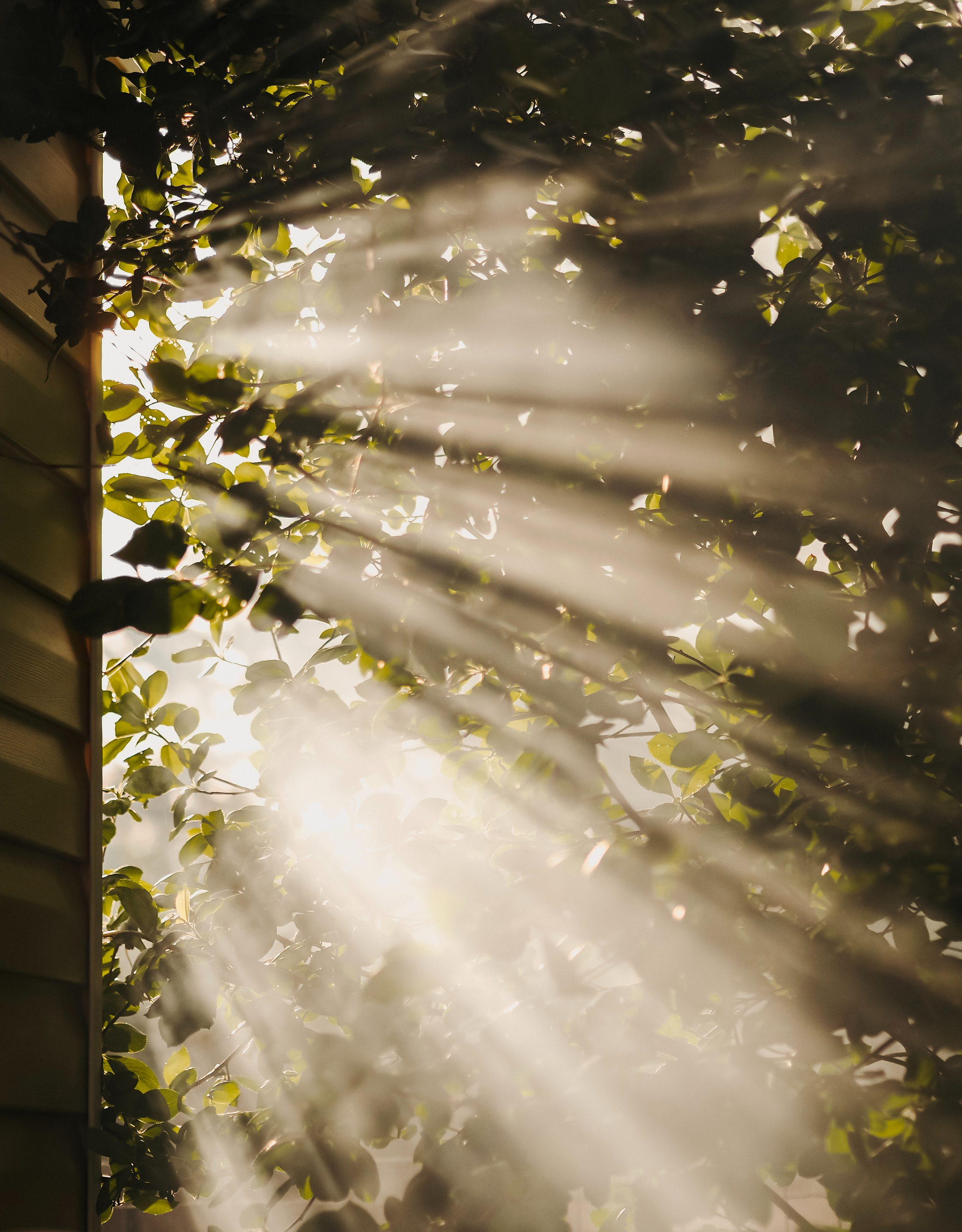 Unsplash