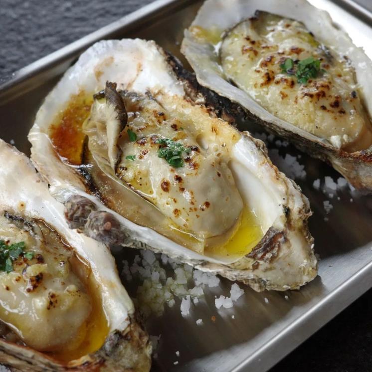 @dozenoyster