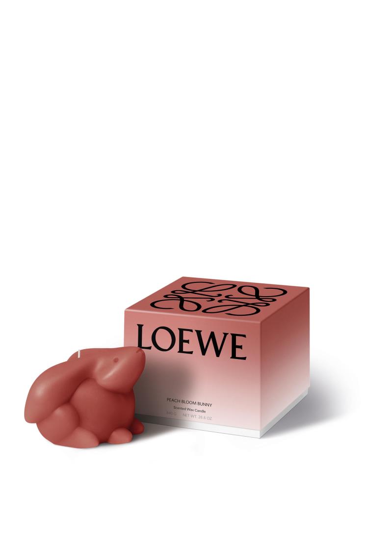 버니 캔들은 25만 4천 원, Loewe.