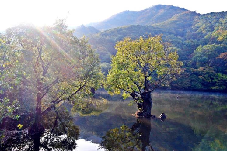 주산지