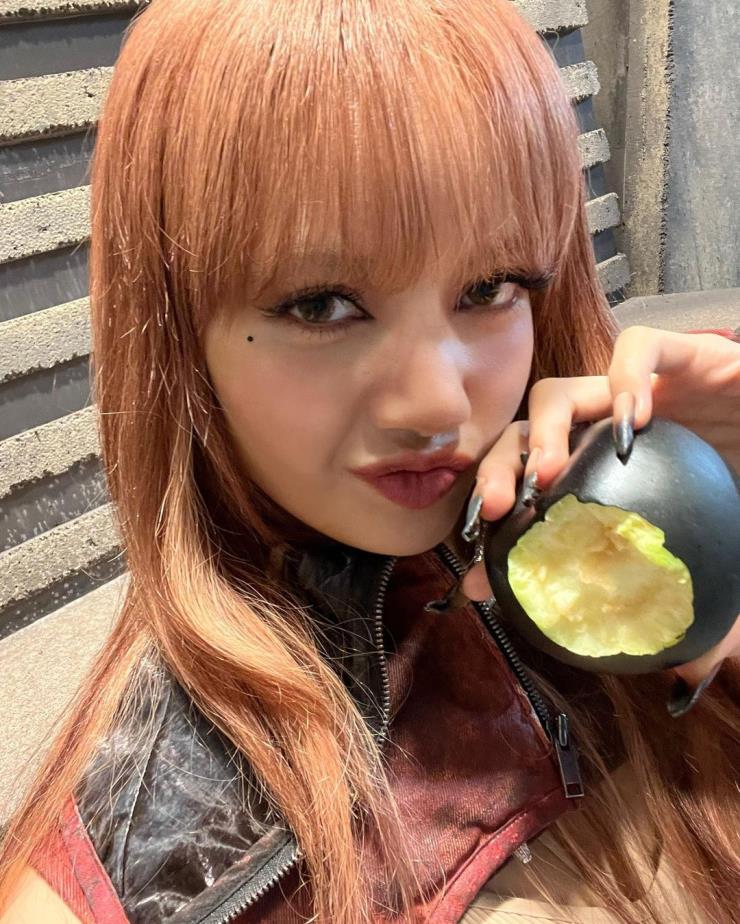 @lalalalisa_m