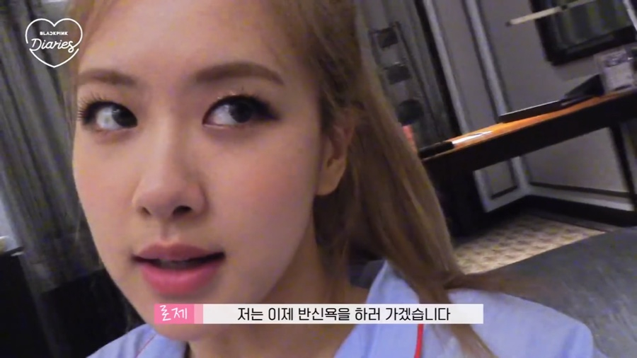 사진 <블랙핑크 다이어리> 캡처