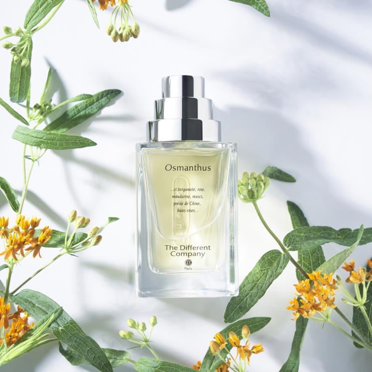  더 디퍼런트 컴퍼니 오스만투스 오 드 트왈렛 100mL 22만원, 50mL 14만원.