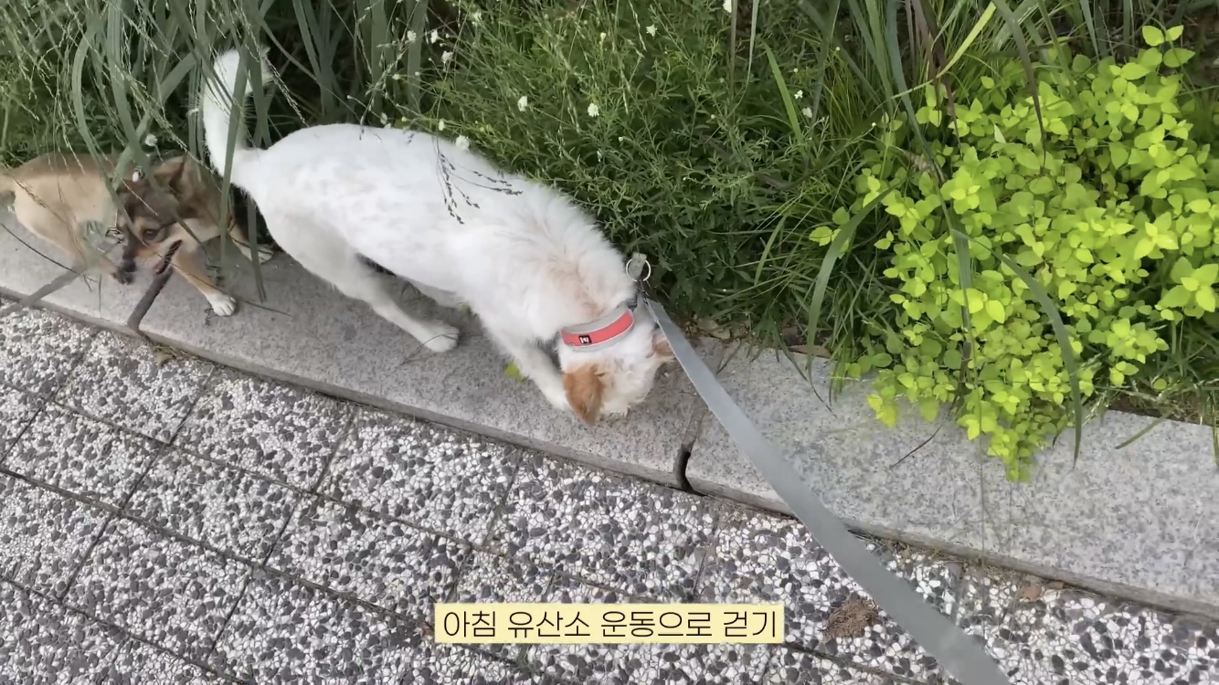 윤승아 유튜브 캡처