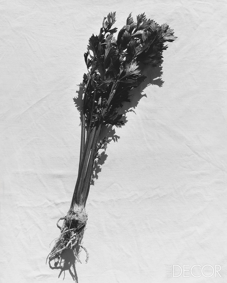 셀러리(Celery).