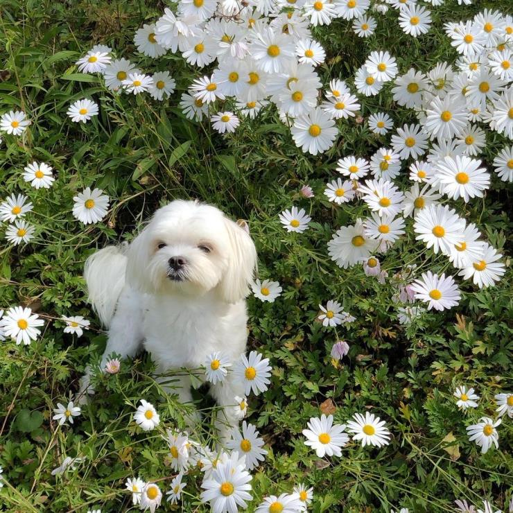 @greentee.park