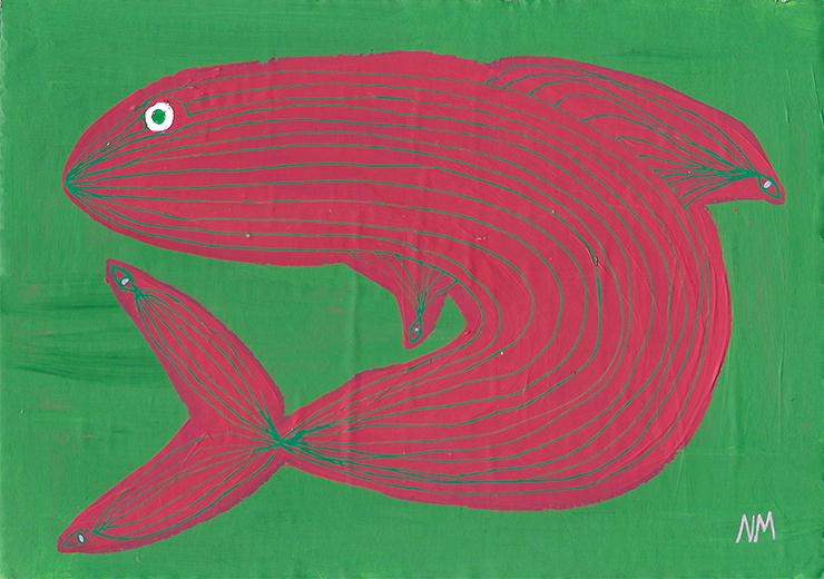 Pink Fish.