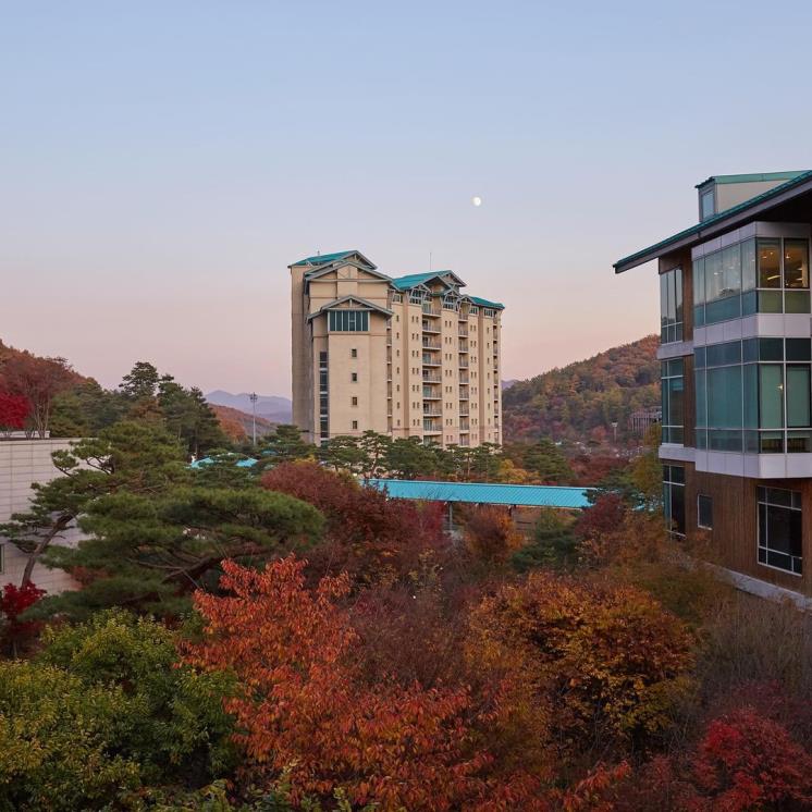 곤지암리조트