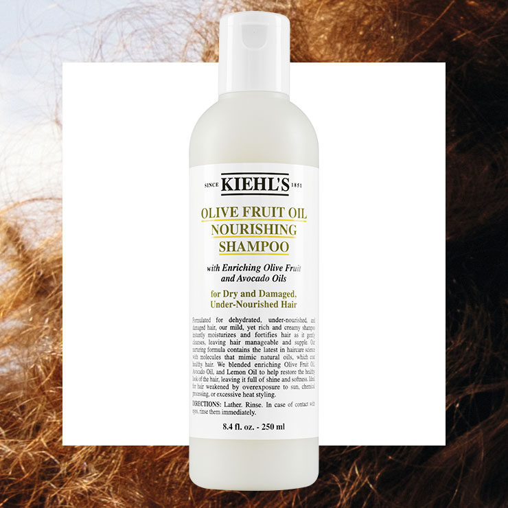 손상된 모발에 영양을 집중적으로 공급하는 너리싱 올리브 프룻 오일 샴푸, 3만1천원, Kiehl’s.