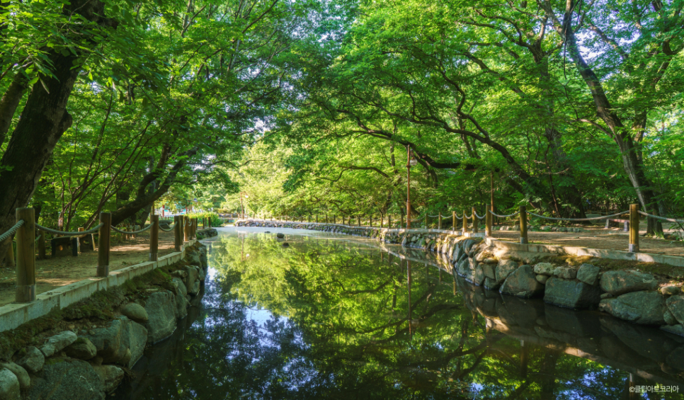 상림공원 470 
