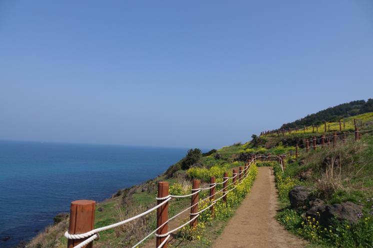 제주 서우봉