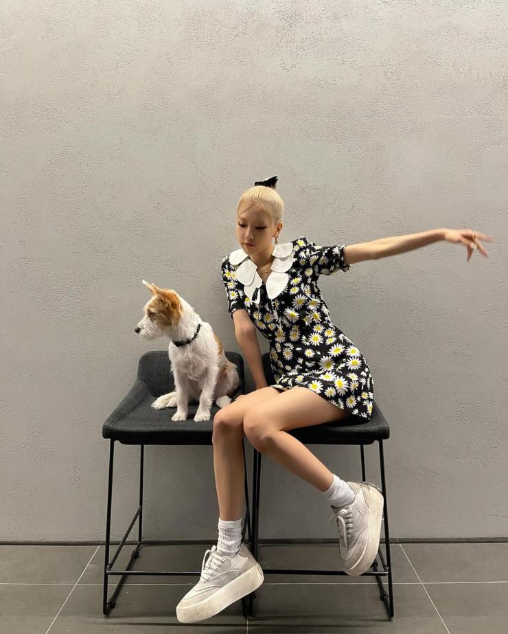 @roses_are_rosie