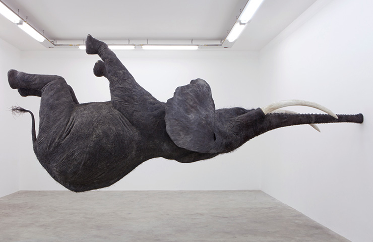 Daniel Firman, Nasutamanus, 2012 (Courtesy of Perrotin)