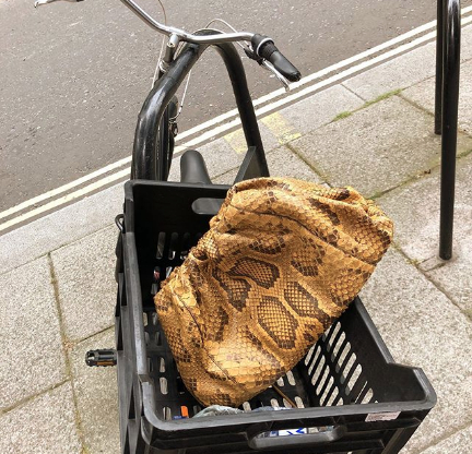 Instagram @newbottega