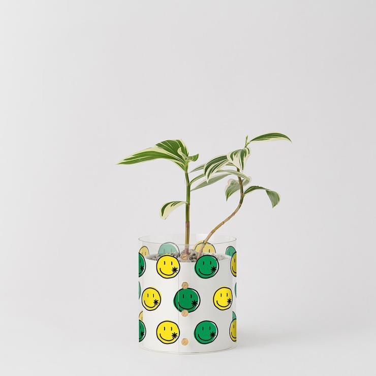 화분에 씌우는 플랫츠의 커버. 인스타그램 @plats_official