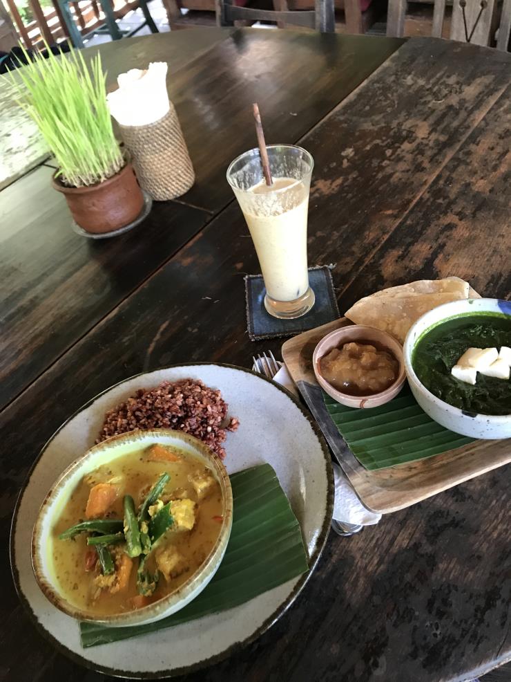 요가반 아유르베다 메뉴, 사그 파니르(Saag Paneer,치즈가 든 커리. 망고 쳐트니와 빵과 서빙)