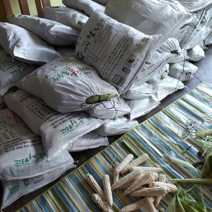 올어바웃 카스테라 