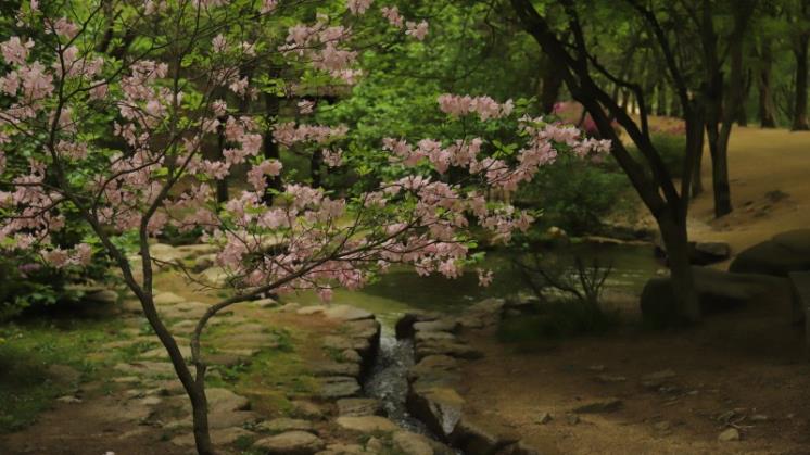 문경새재 도립공원