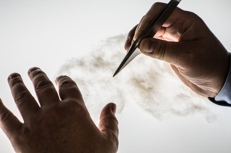 로로 피아나 제공(Giulio di Sturco)