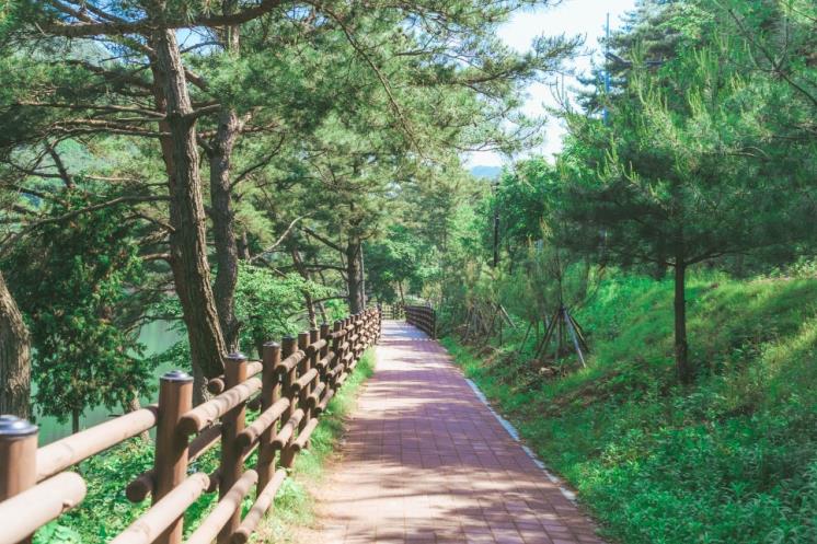 치유의 숲