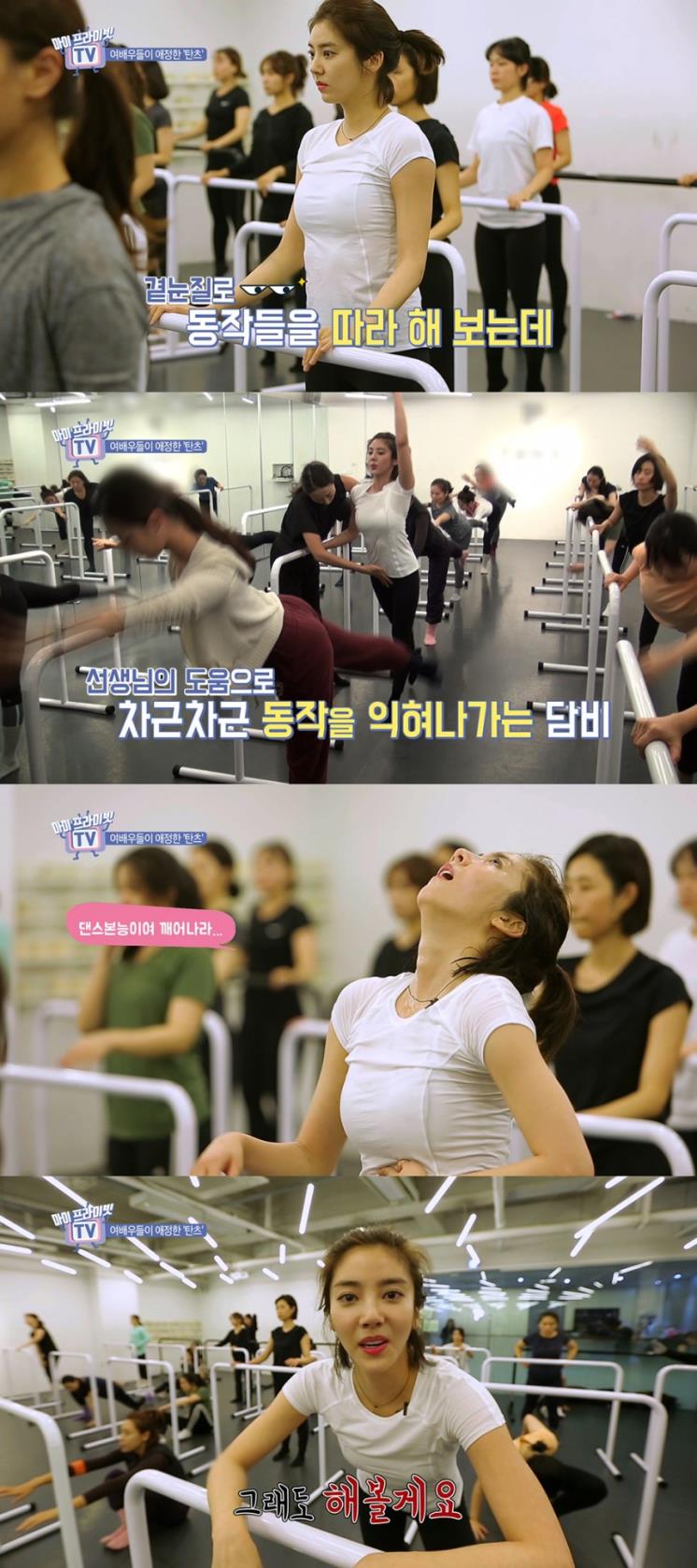 손담비