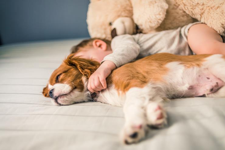 사진 출처 게티 이미지 코리아