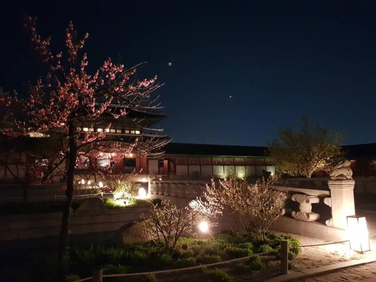 경복궁 밤 풍경