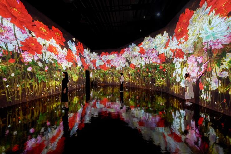 teamLab, <증식하는 무수한 생명>, 2020, Interactive Digital Installation, Sound: Hideaki Takahashi © teamLab, courtesy Pace Gallery