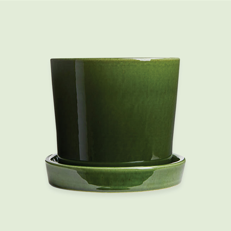 정원 생활의 비기너를 위한 필수 도구 두 가지가 든 키트. 단조 흙손과 내구성 뛰어난 정원용 장갑으로 구성됐다. 97달러, 더 플로럴 소사이어티. 