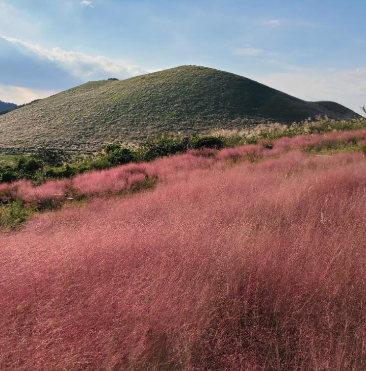 제주 카페 새빌 