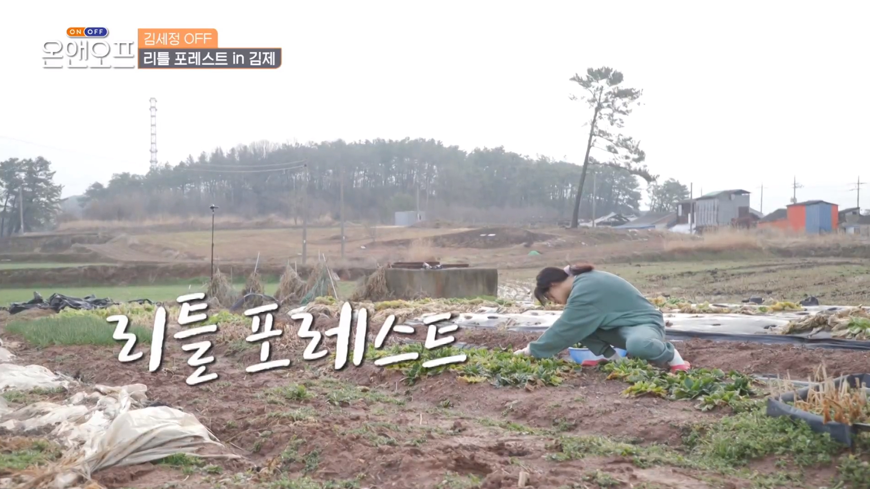 사진 tvN ‘온앤오프’ 방송 화면