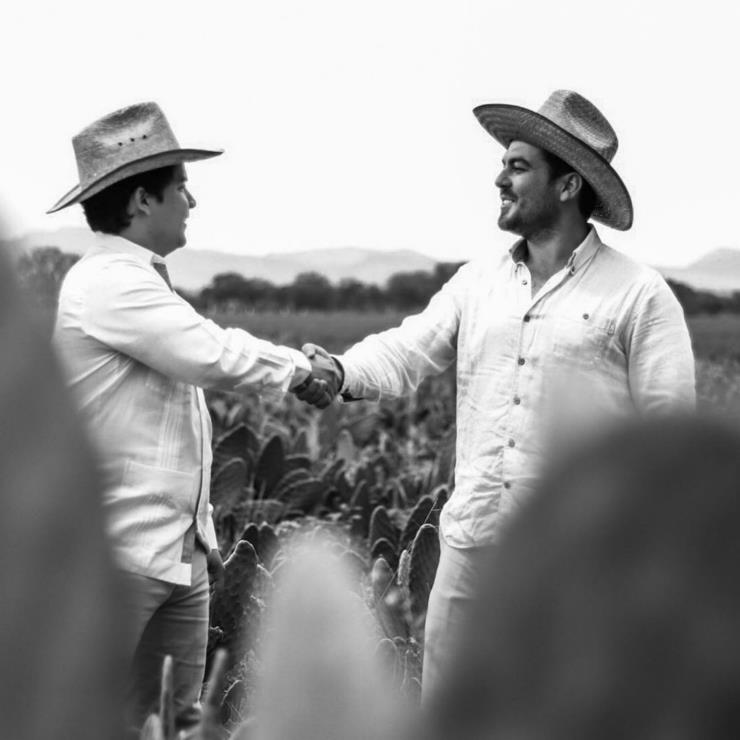 데세르토의 두 디자이너