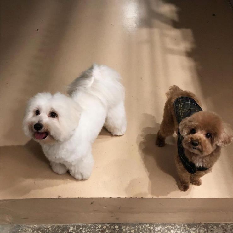 @tulear_seoul 