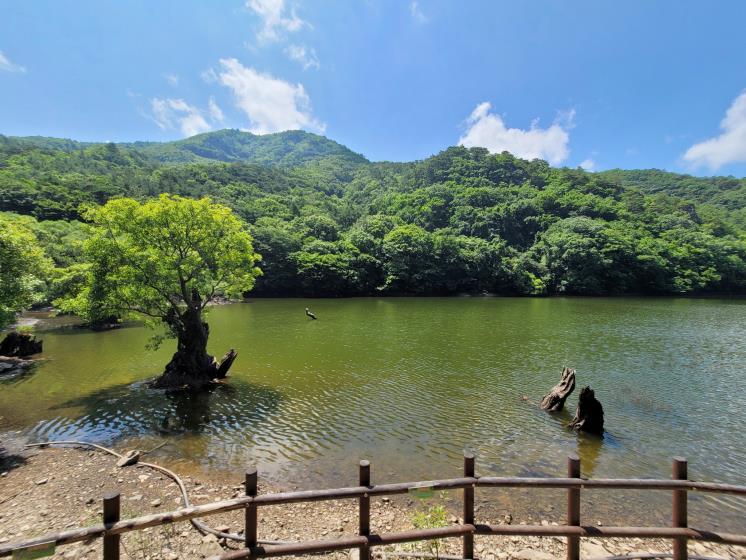 주산지