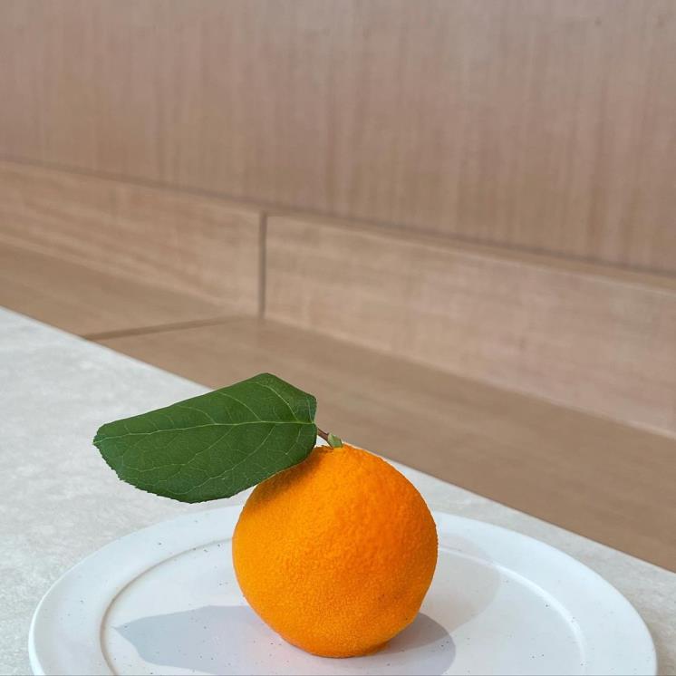 파티세리 후르츠 인스타그램