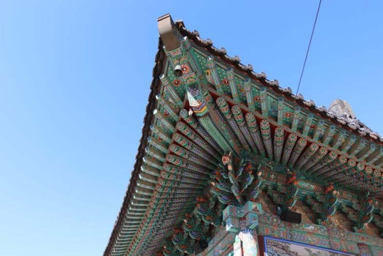 합천군 블로그