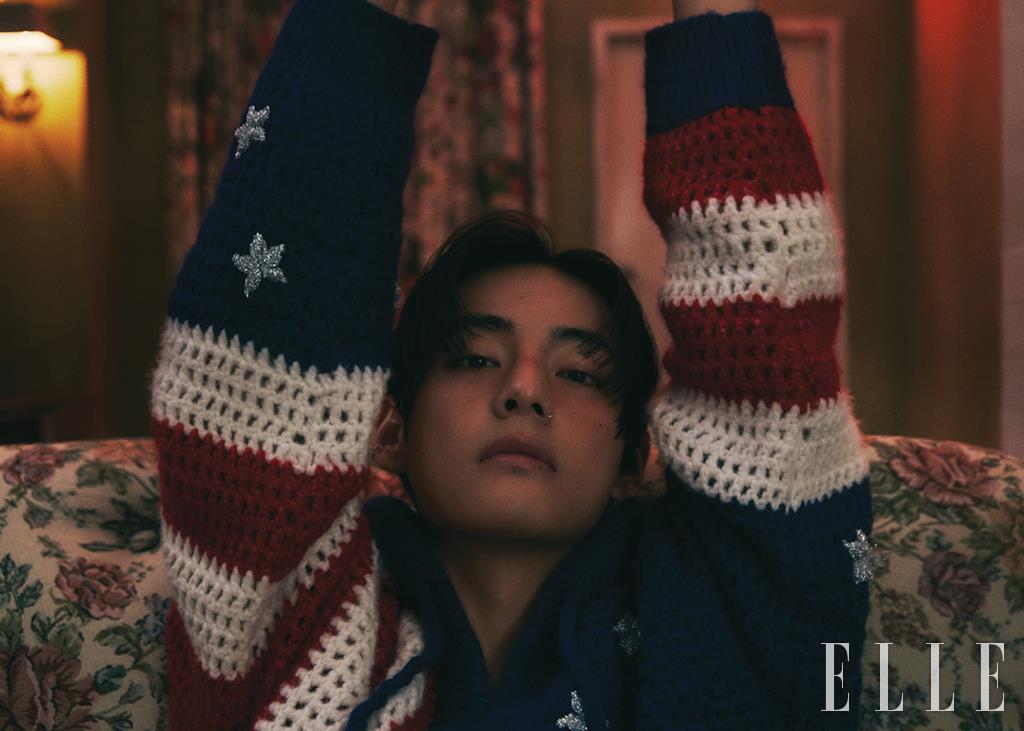 성조기 패턴의 크로쉐 니트 후디드 톱은 Celine Homme.