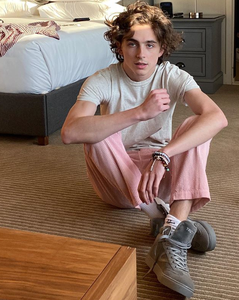 인스타그램 @tchalamet
