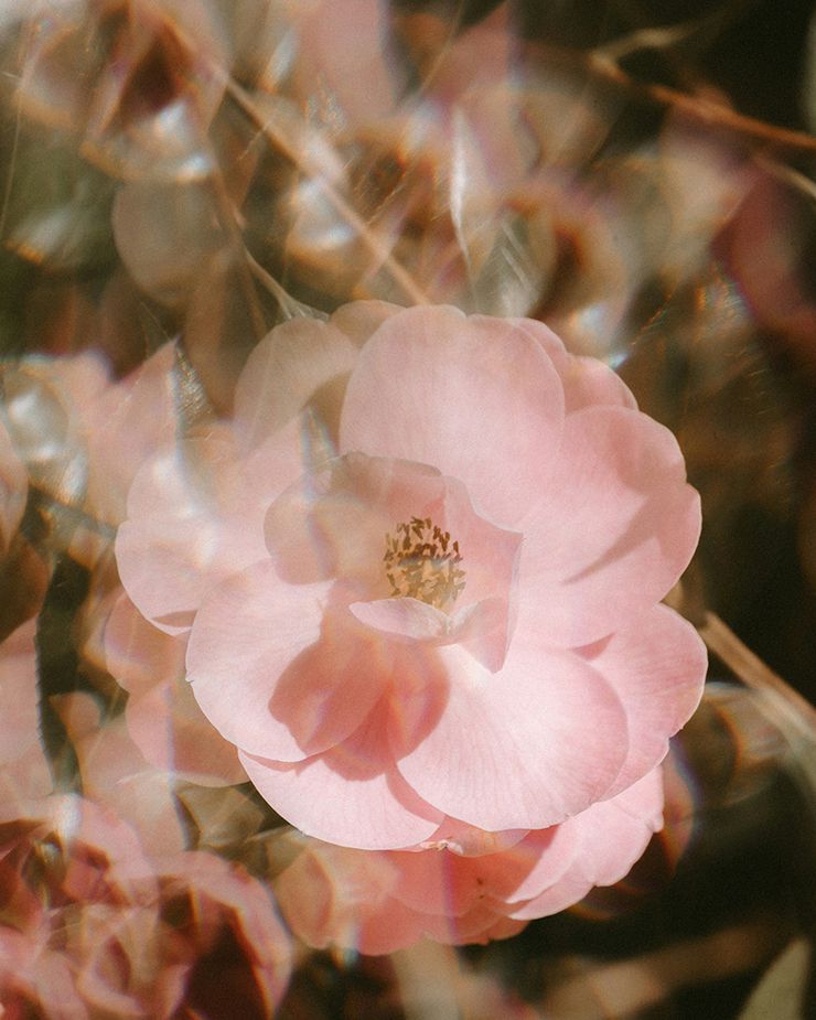 ©unsplash