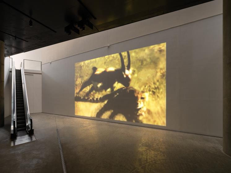 볼거리, 2010, 단채널 비디오, 컬러, 무음, 1분 7초. 제공 리움미술관. ⓒ김범. 촬영 이의록, 최요한.