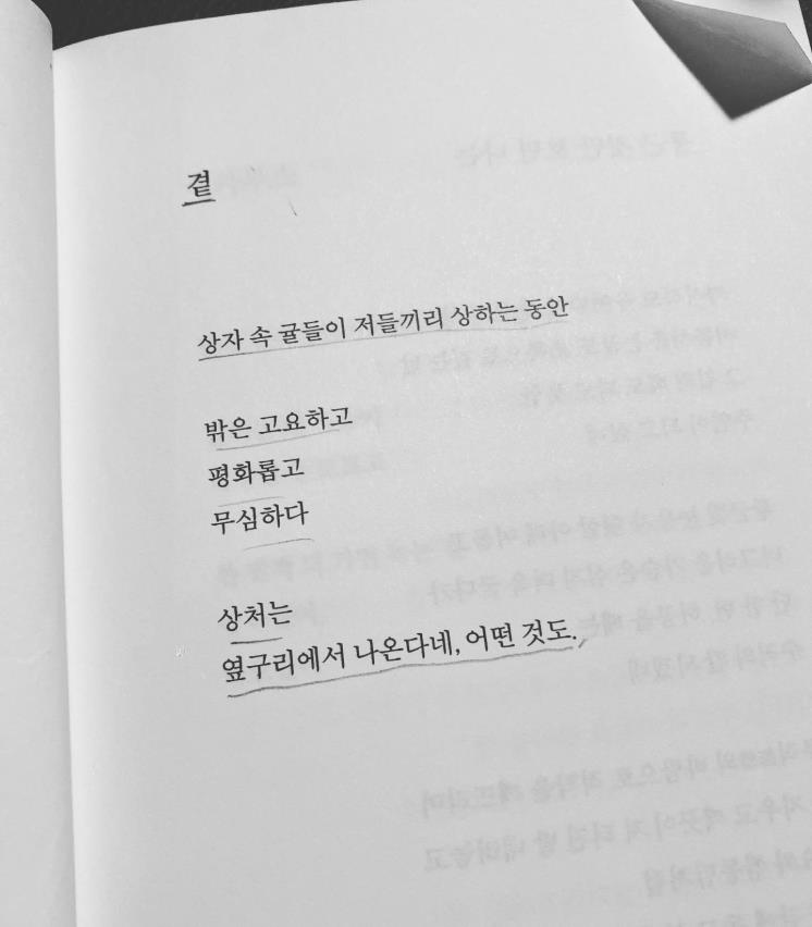 @realllllmino