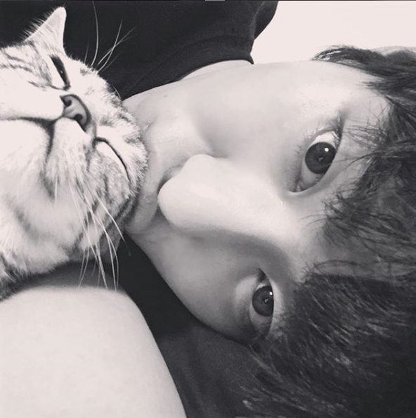 인스타그램 @imhyoseop