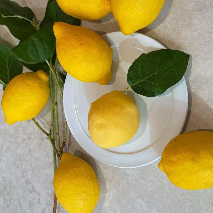 파티세리 후르츠 인스타그램