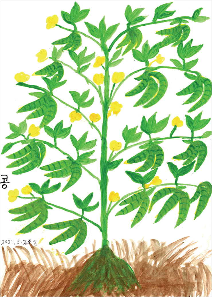 <콩>. 실제로 할머니는 평생 농작물을 가꿨다.