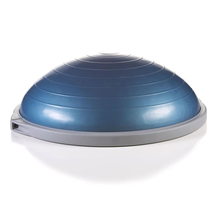 보수는 20만원대, Bosu