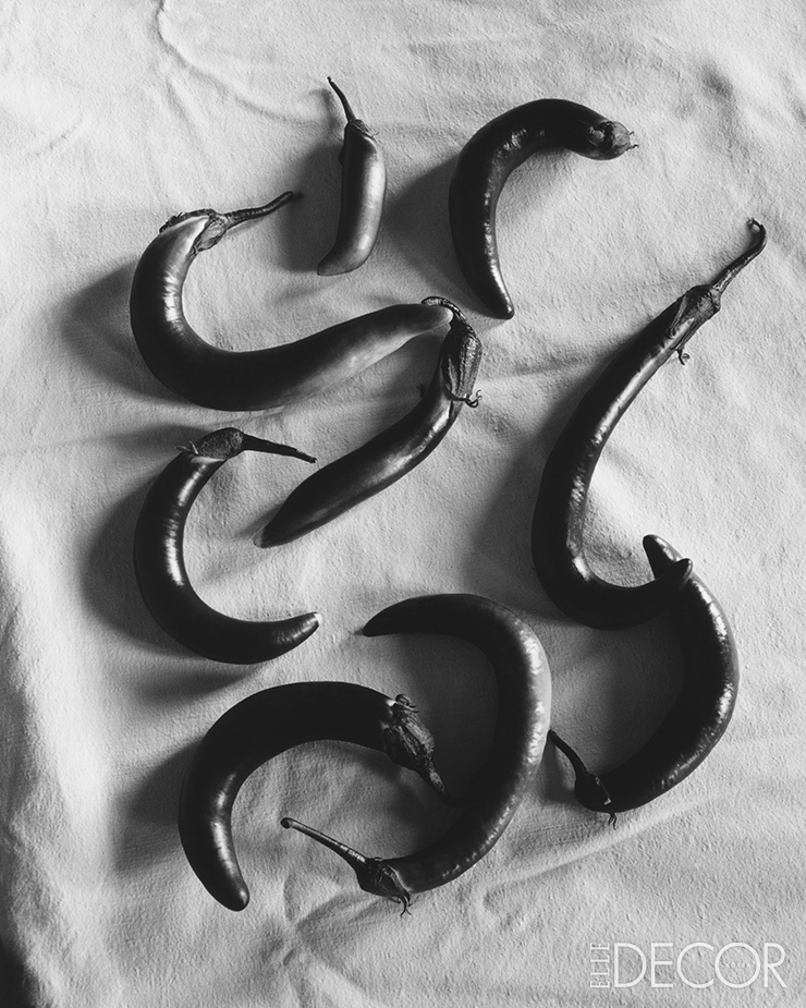가지(Eggplant).